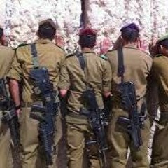 Israel Uncensored: Israel Launches Jenin Anti-Terror Military Operation