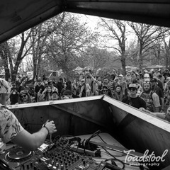 Project Debut @ Infrasound Music Festival 2022