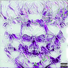 Insane Remix (ft zipbby)