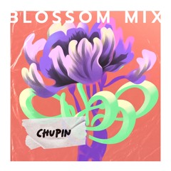 Chupin - blossom mix (melodic house)