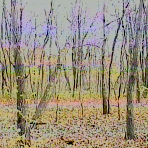 trees & always november - delete existence