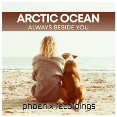 Arctic Ocean - Always Beside You