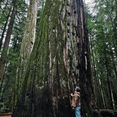 i don't feel you, but that's okay.