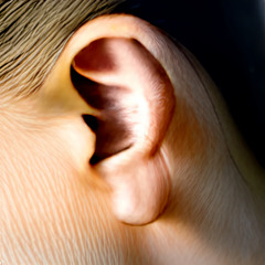 Ears