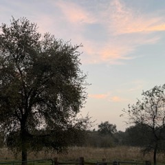 komocho - another xan  [prod. yukio]