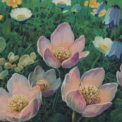 Flower Fields (Nujabes Tribute)