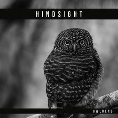 Hindsight (prod. by DatBoiDJ)
