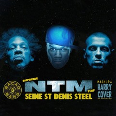 NTM Vs Bacao Rhythm & Steel Band - Seine St Denis Steel (Dj Harry Cover Mashup)