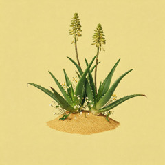 Marco Vittori - No me quema