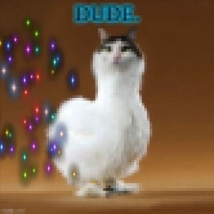 bird ahh bird