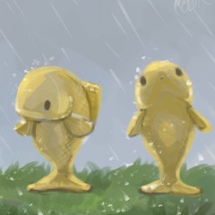 Rain