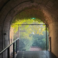 Dom im Berg w/ Alarico - Closing Set