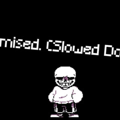 Promised ( Slowed Down )