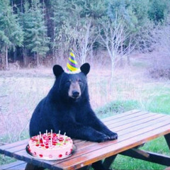 Clairo - My Love Mine All Mine (Mitski cover).mp3