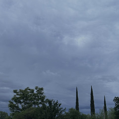 gone like the rain