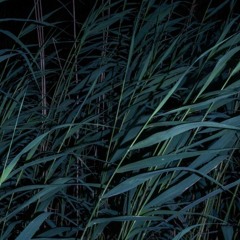 Artist Talk: Ruby Wallace - Whistling in the Dark