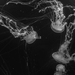 Quantumono - Niil (bb version)