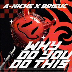 A-NICHE x Brieuc - Why Do You Do This (Crazy Town - Butterfly Edit)