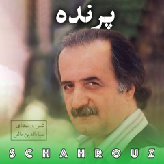 ضیاءالدین خالقی | پرنده