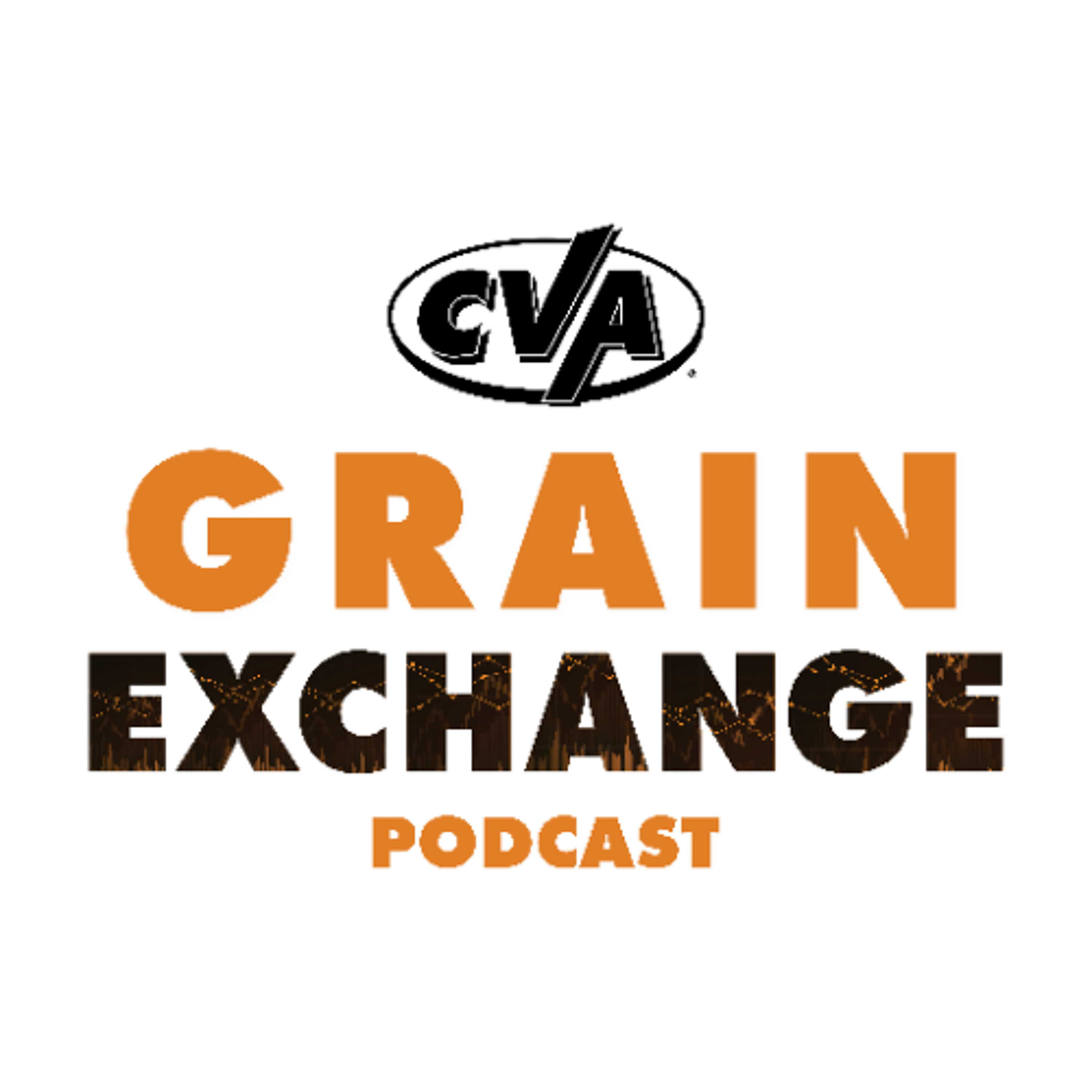 Episode 70 | Copy & Paste, But Plenty to Talk About episode artwork