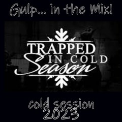 Gulp In The Mix - Cold Session