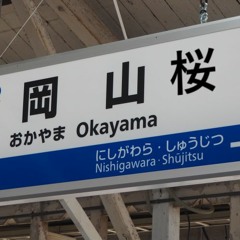 岡山桜