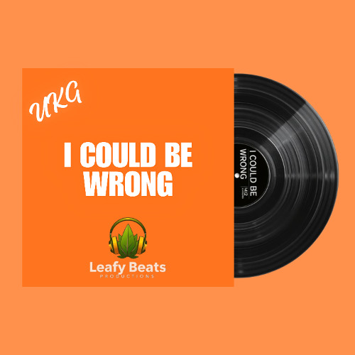 I Could Be Wrong - Leafy Beats (UKG)