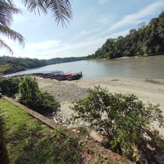 Et les matins sont les mêmes