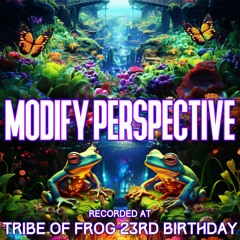 Modify Perspective - Recorded at TRiBE of FRoG 23rd Birthday - September 2023