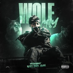 YoungBoy Never Broke Again - Wolf Cry (Slowed + Reverb)