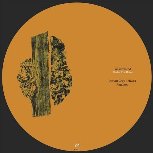 Premiere: Assimilated - Sequence Of Occurrences (Dorian Gray Remix)