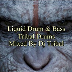Liquid Drum & Bass Mix Tribal Drums 2022