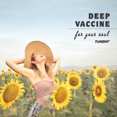 Deep Vaccine For Your Soul (Nhạc chữa lành tâm hồn) - TUNGNT Mixset