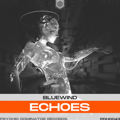 Echoes