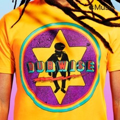 Dubwise