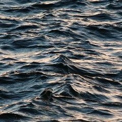 Acoustic-gravity waves