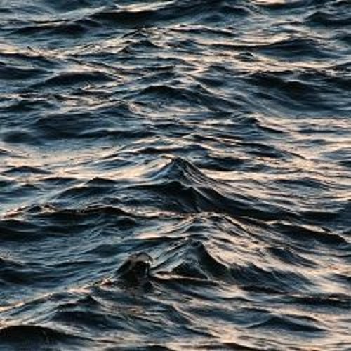 Acoustic-gravity waves