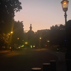 Nightwalk (naviarhaiku452)