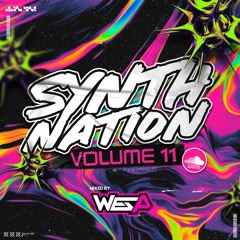 SYNTH NATION VOL 11