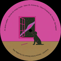 Various Artists - Dessert On The Milky Way [ANTAM011]