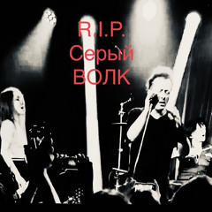 R.I.P. Серый Волк…🪦