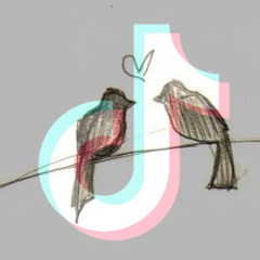 Two birds on a wire (TikTok duet)