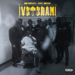 VETERAN (feat. Big Papa313)