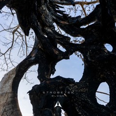 Strobetek - Bloom (Extended Mix)