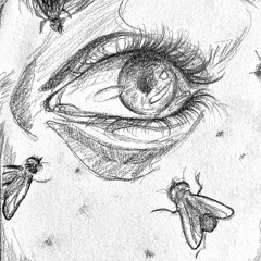 soldier for flies demo (with cello).mp3