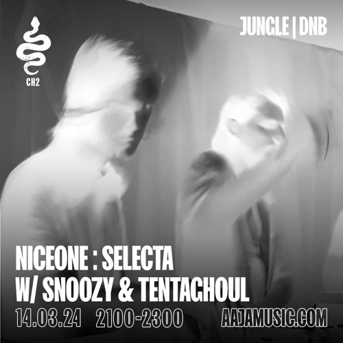 NICEONE : SELECTA W/ SNOOZY AND TENTAGHOUL | MAR 24 | AAJA MUSIC