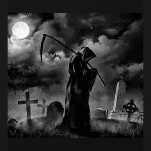 Rip wizard dcls - skn