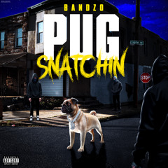Bandzo- Pug Snatchin