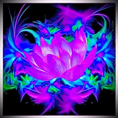 Purple Lover
