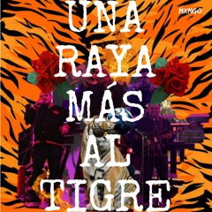 Una Raya Más Al Tigre